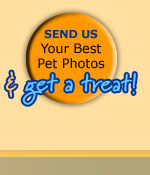 Send Us YOur Best Photos and Get a Treat!